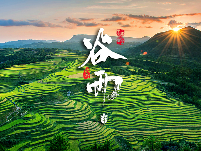 谷雨：春天的結(jié)束，生機(jī)的開始